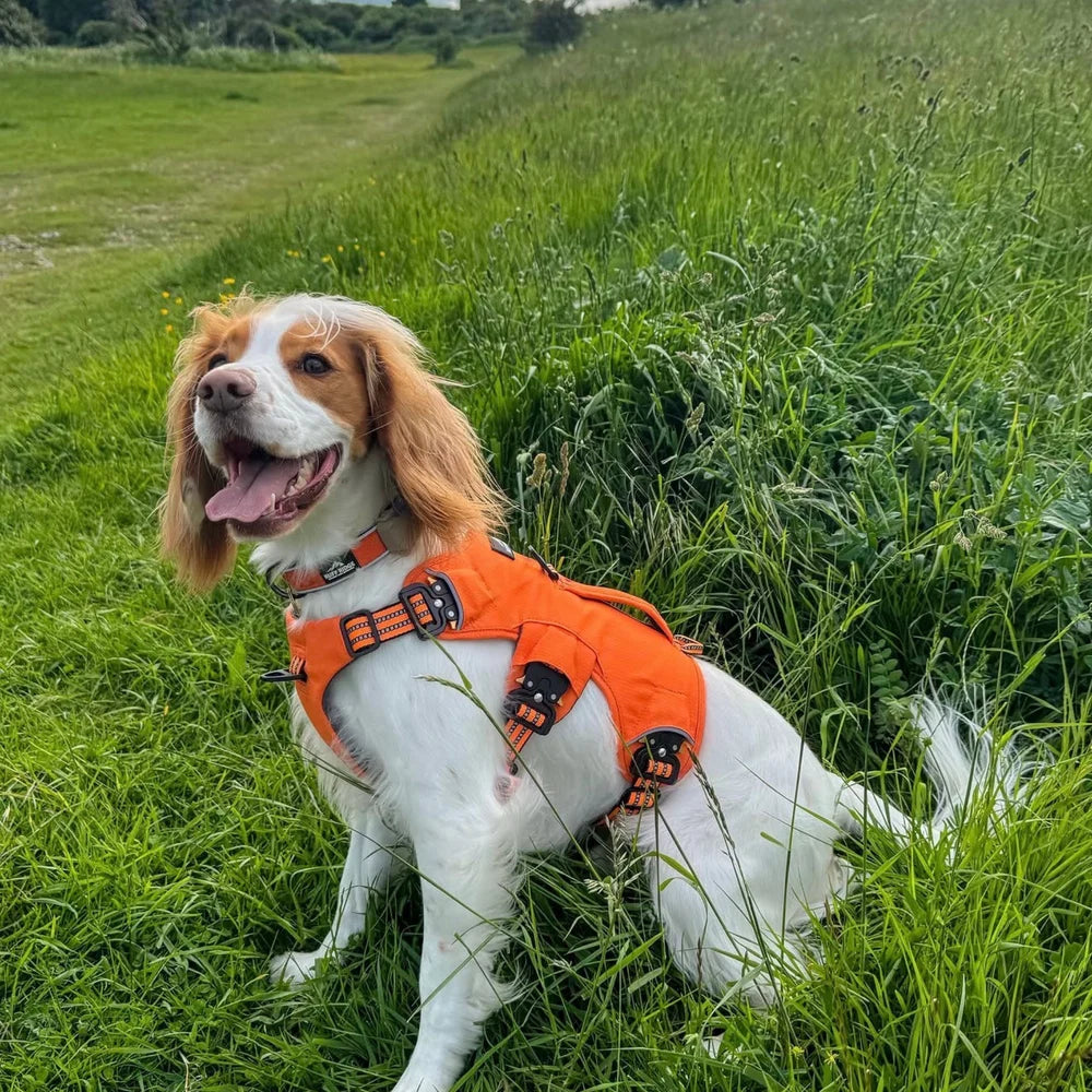 Expedition Pro™ Harness - Ruff Ridge