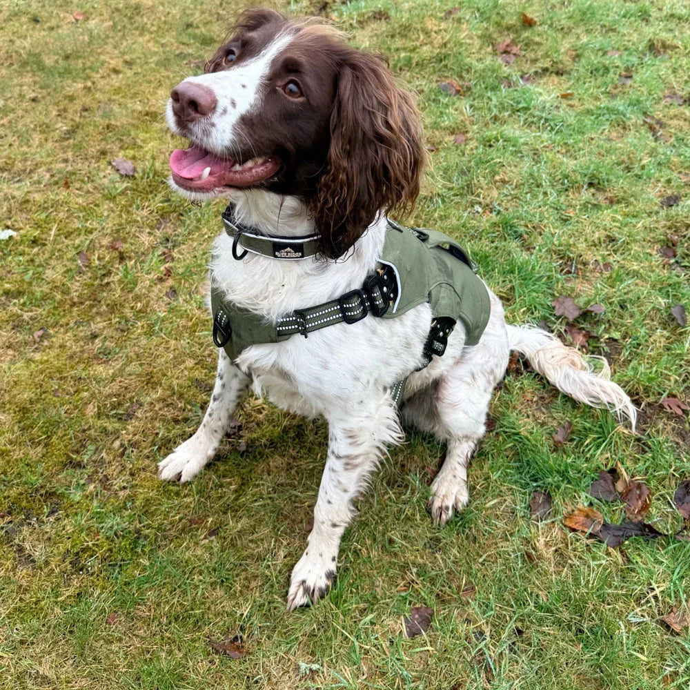 Expedition Pro™ Harness - Ruff Ridge