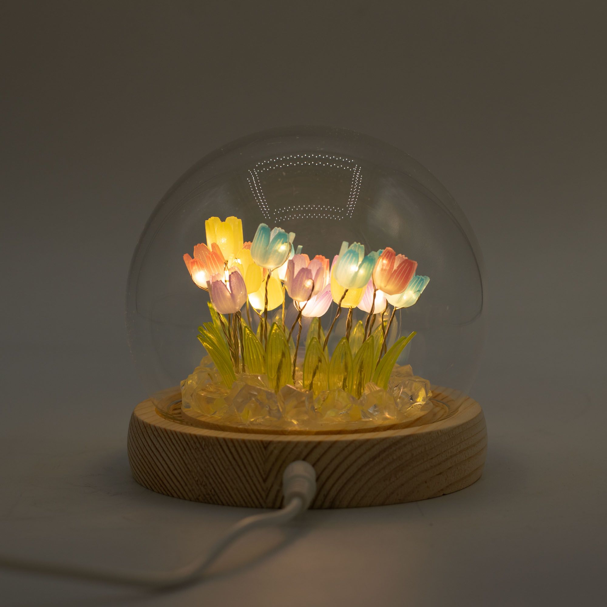 Floral Glow Garden Dome - Multi Tulips - LED USB