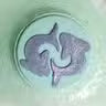 Set of2 -  Zodiac Bath Fizzers with Horoscope - Pisces